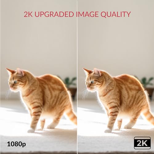 YI 2K Dome Security Camera for Smart Pet Monitoring
