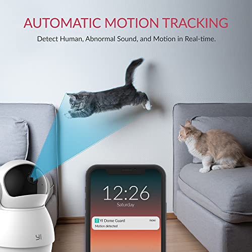 YI 2K Dome Security Camera for Smart Pet Monitoring