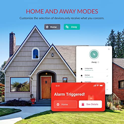 YI 2K Dome Security Camera for Smart Pet Monitoring
