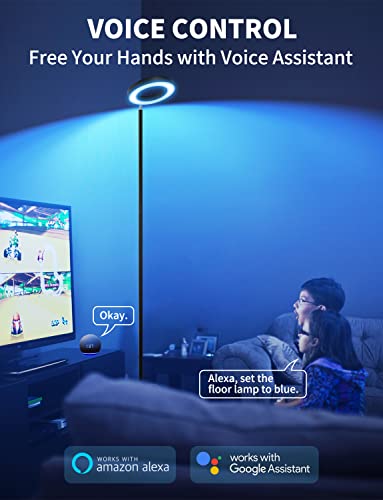 Smart Wi-Fi LED Floor Lamp with Double-Side Lighting