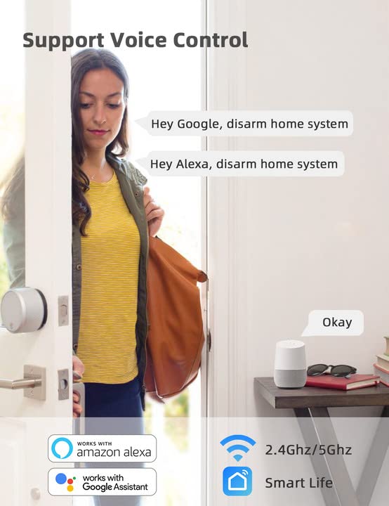 Smart Home Alarm System with Alexa Compatibility