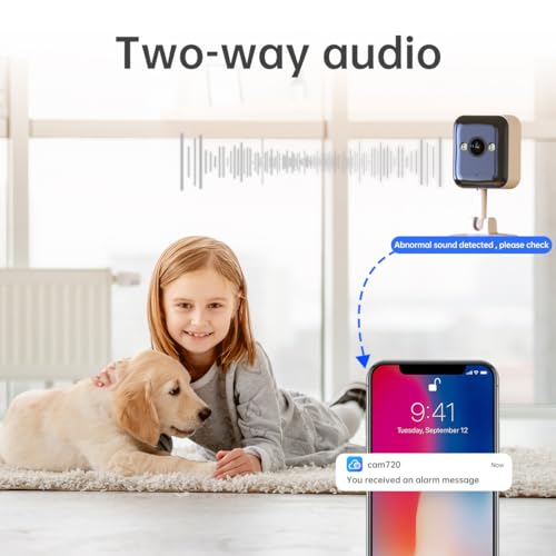 Wireless Home Security Camera with Siren & Night Vision