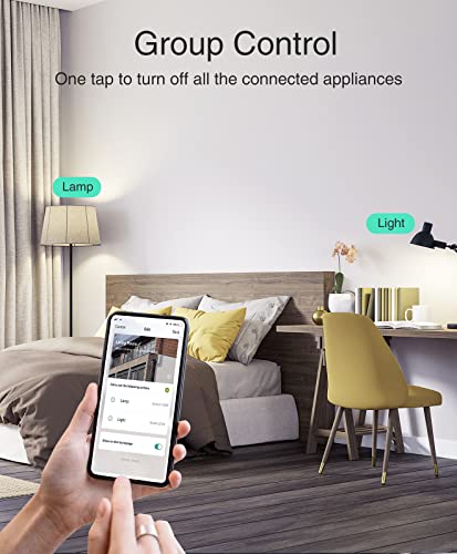 Smart Mini Plug with Alexa/Google Home, Timer, ETL Listed