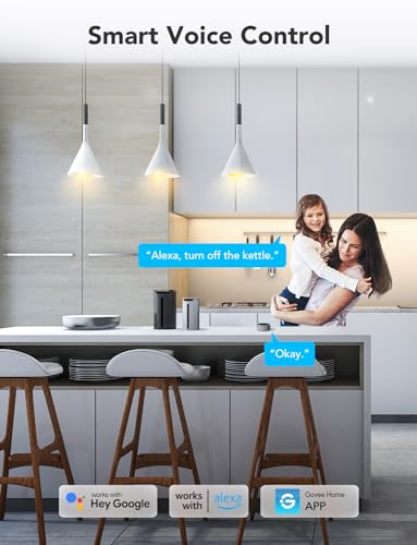 Govee Smart Plug 4 Pack for Home Control