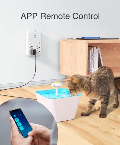 Smart Plug Outlet Extender with 3 Individually Controlled Outlets