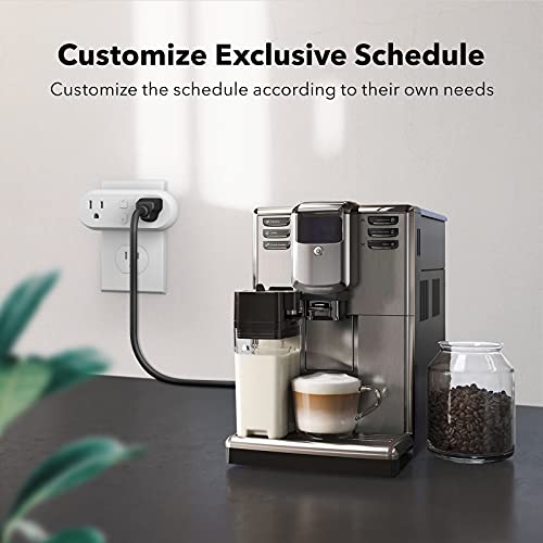 Smart Dual Outlet Plug, Individual Control, Alexa/Google Compatible