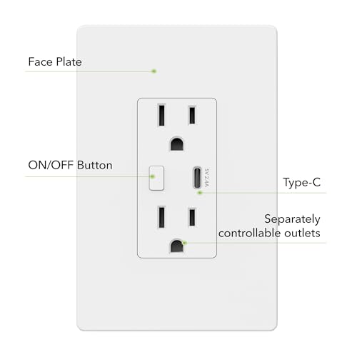 Smart Electrical Outlet with 2 Controlled Plugs and Type-C Charging