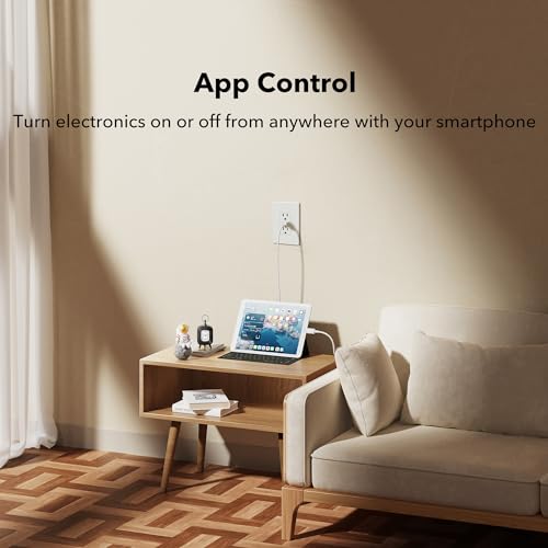 Smart Electrical Outlet with 2 Controlled Plugs and Type-C Charging