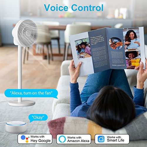 Alexa-Compatible Smart Plug with Timer & Remote Control