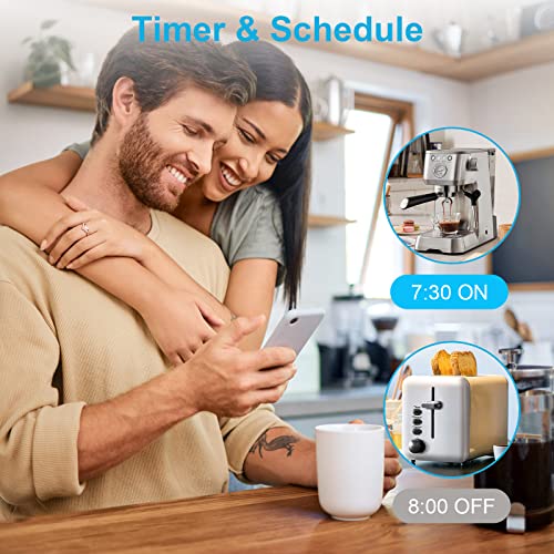 Alexa-Compatible Smart Plug with Timer & Remote Control