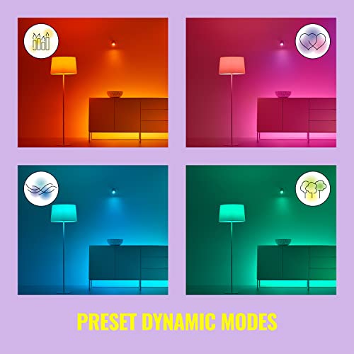 WiZ Smart Plug - Pack of 2 - Type B - Wi-Fi Control - Work with Google, Alexa, Siri