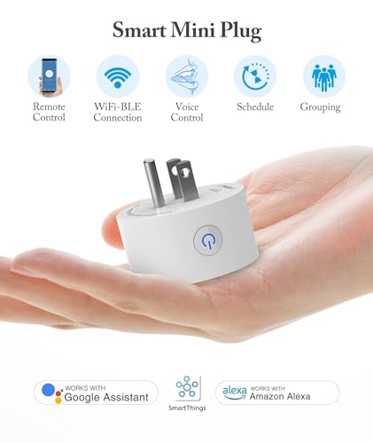 Abida Smart Mini Plug with Remote Control & Timer