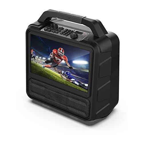 Portable Monster Vision Entertainment System, Full HD 15.6”