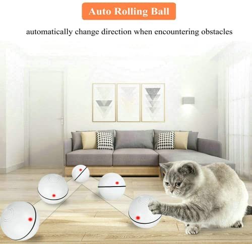 Pakoo Interactive Cat Toys Ball, USB Rechargeable Spinning Led