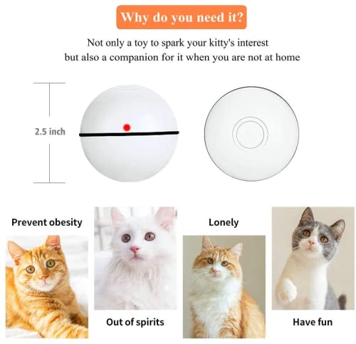 Pakoo Interactive Cat Toys Ball, USB Rechargeable Spinning Led