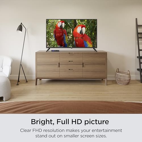 Roku 40" Smart RokuTV with Voice Remote and Customizable Home Screen
