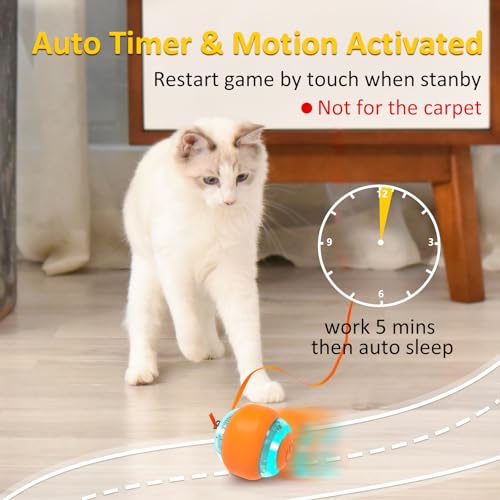 Motion Activated Cat Toy Ball for Indoor Cats