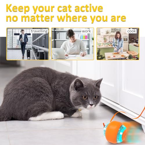 Motion Activated Cat Toy Ball for Indoor Cats