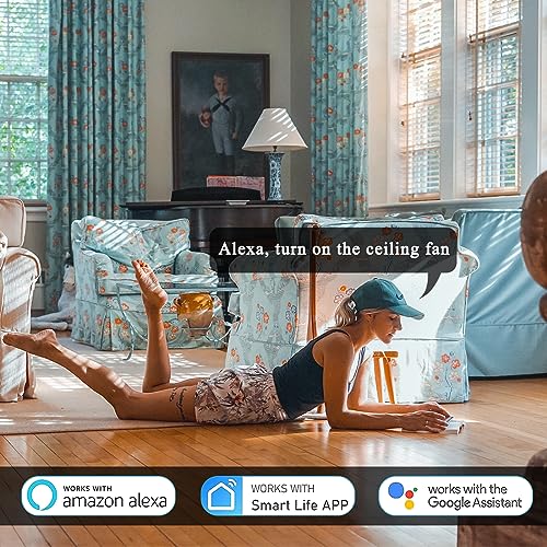 Smart Ceiling Fan Remote control compatible with Alexa & Google
