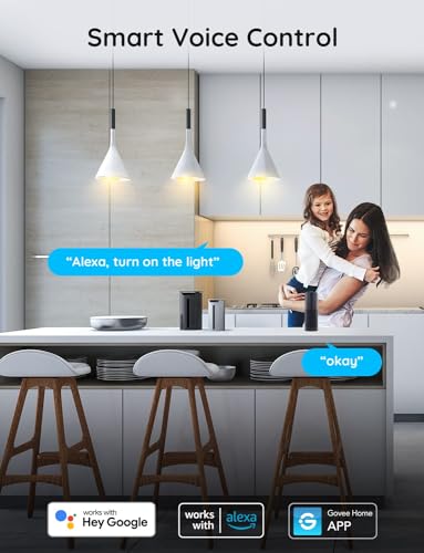 Smart WiFi Plugs for Alexa & Google Home