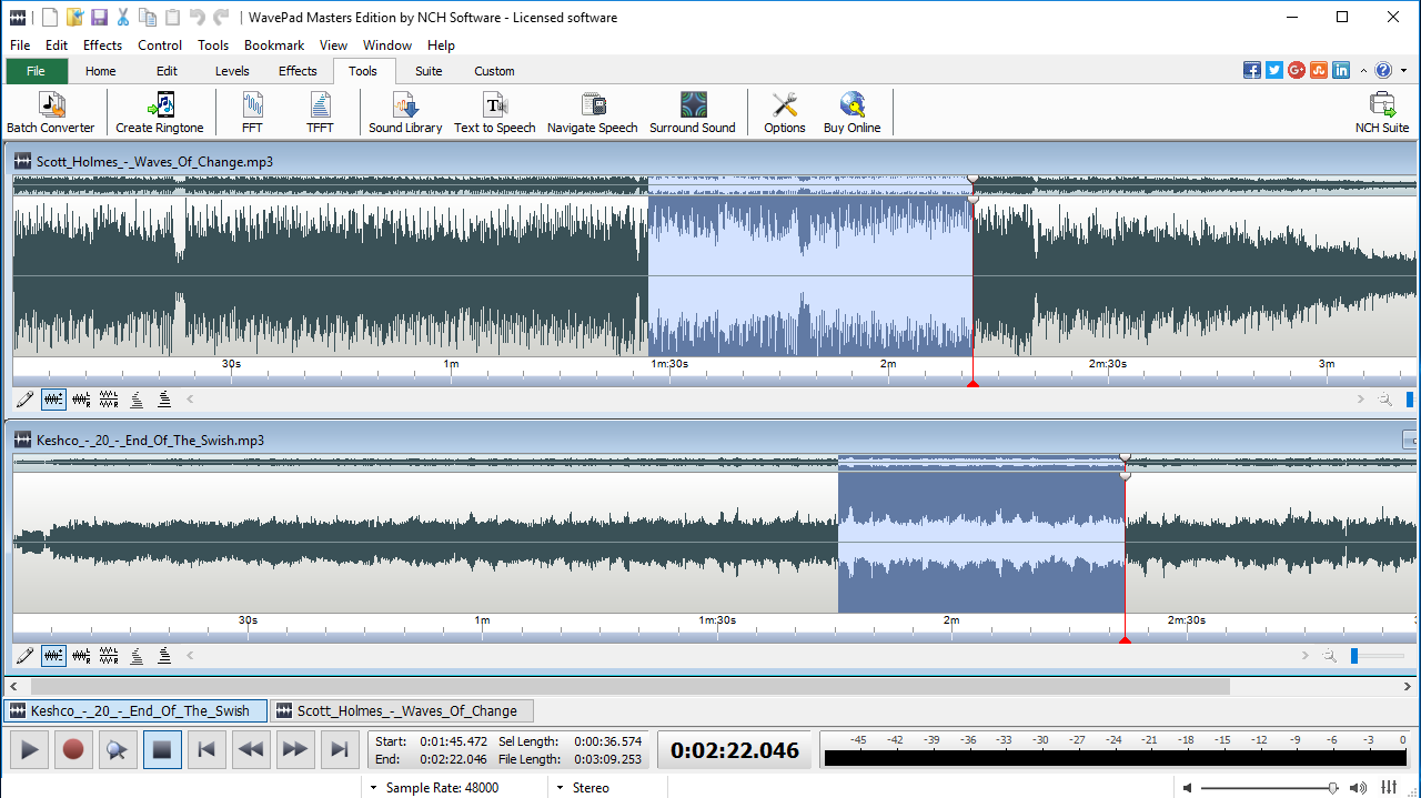 WavePad Professional Audio and Music Editor [Download]