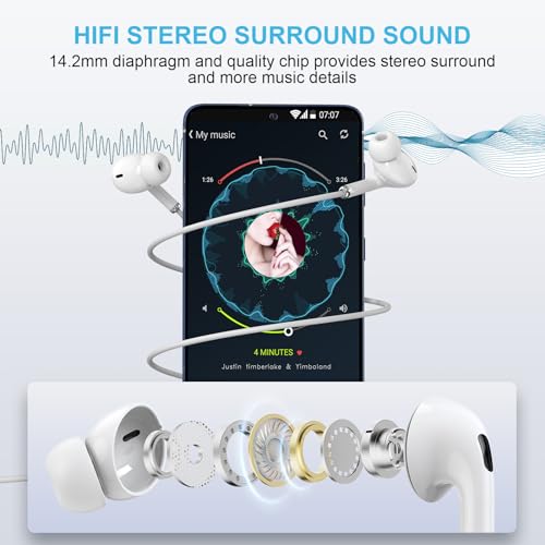 Dual Apple Earbuds with Mic for HiFi Stereo