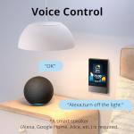 WiFi Smart Scene Wall Switch for Smart Home