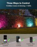 Ligency Smart RGBW Landscape Lighting for Garden Pathway