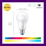 WiZ 60W A19 Color LED Smart Bulb (1 Pack)