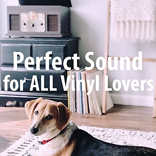 Bluetooth record player with multimedia center