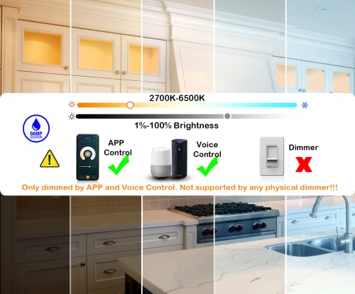 Cloudy Bay Smart Wi-Fi LED Recessed Lights (6 pack)