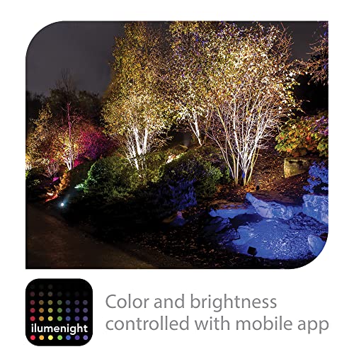 Bronze Accent Light with Bluetooth Controls and RGBW Color