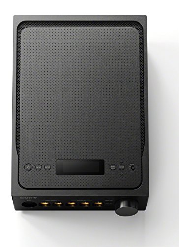 Sony Black Signature Audio Amplifier (TAZH1ES)