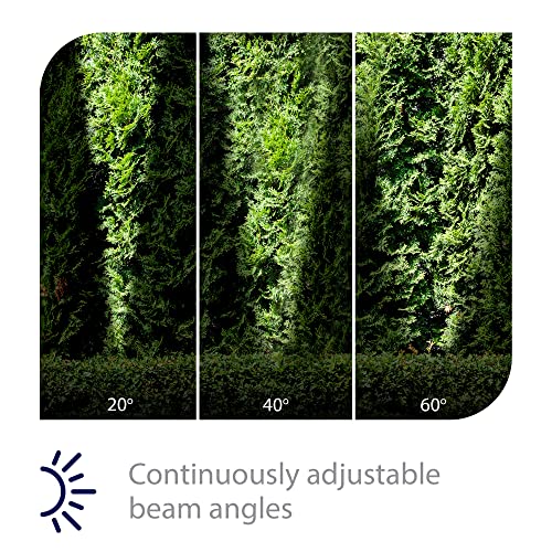 Bronze Accent Light with Bluetooth Controls and RGBW Color