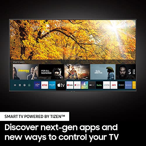 55" Samsung Smart TV for Outdoor Use