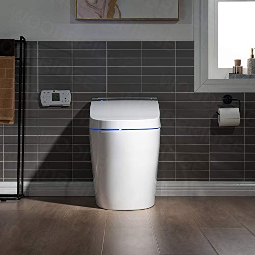 Intelligent Bidet Toilet with Remote Control