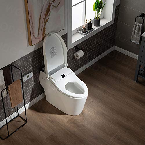 Intelligent Bidet Toilet with Remote Control