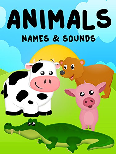Kid-Friendly Animal Names and Sounds
