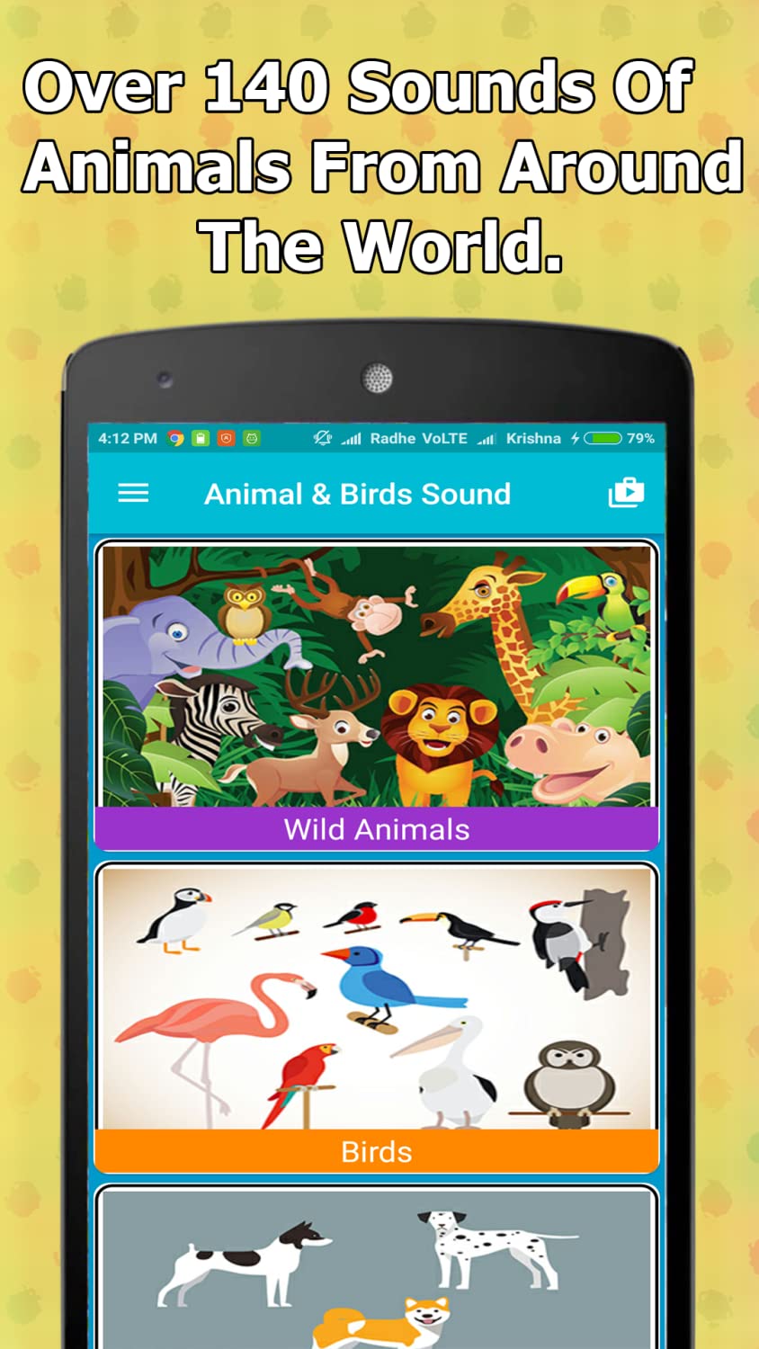 Animal and Bird Sounds Offline