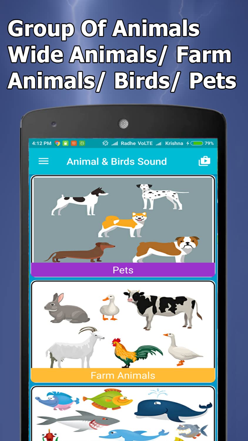 Animal and Bird Sounds Offline