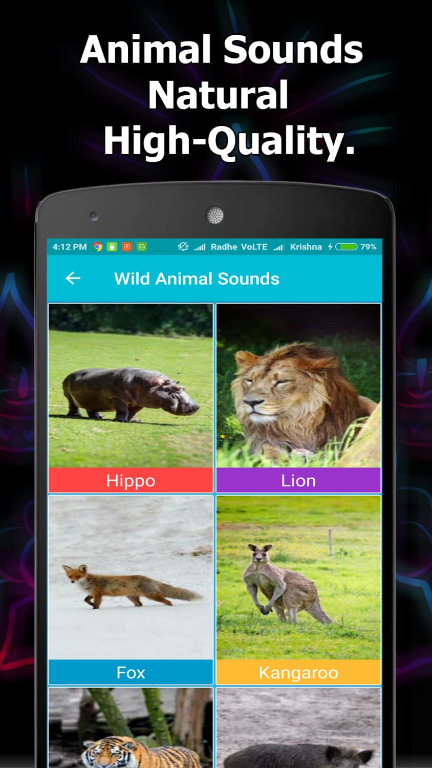 Animal and Bird Sounds Offline