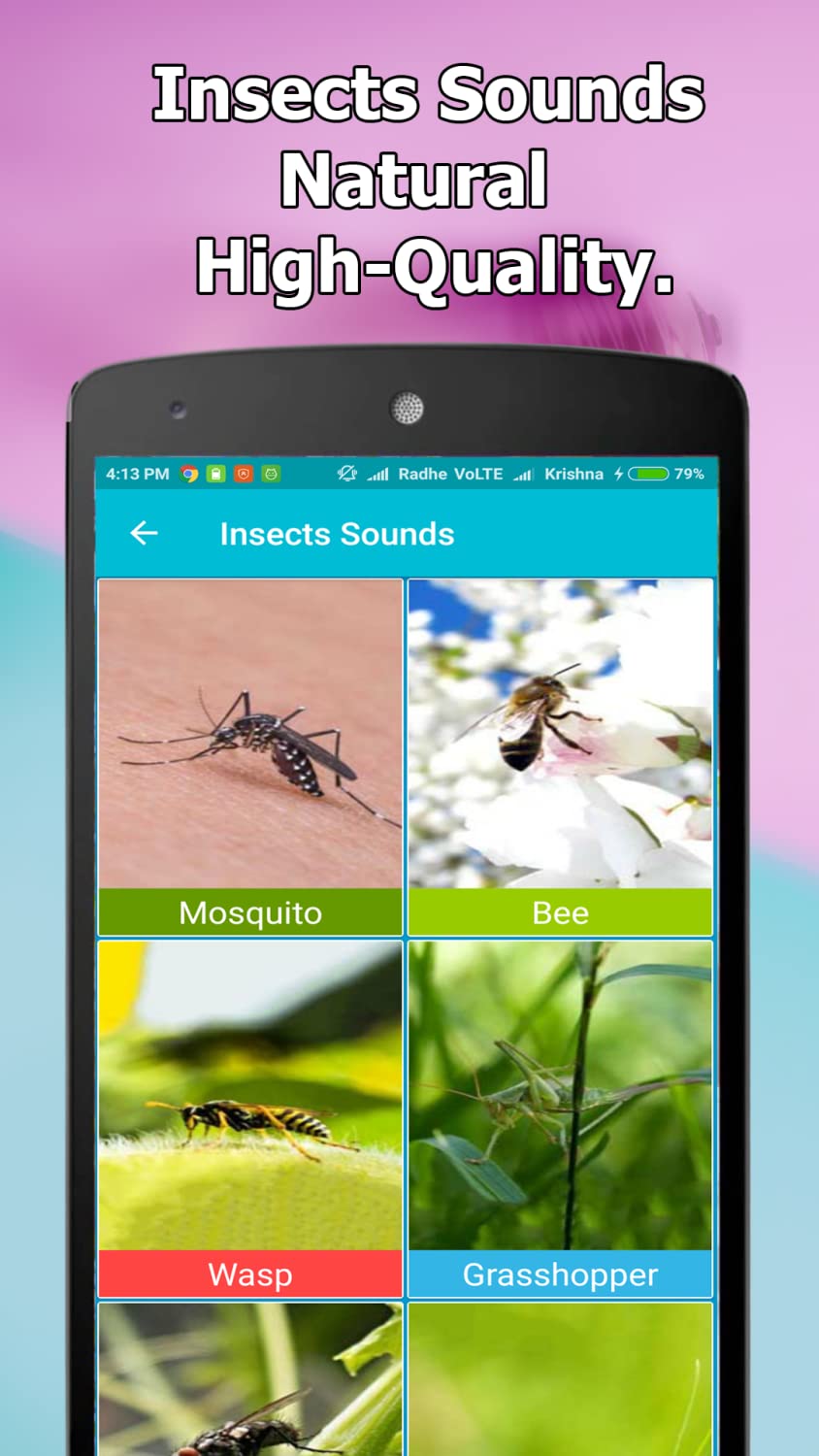 Animal and Bird Sounds Offline