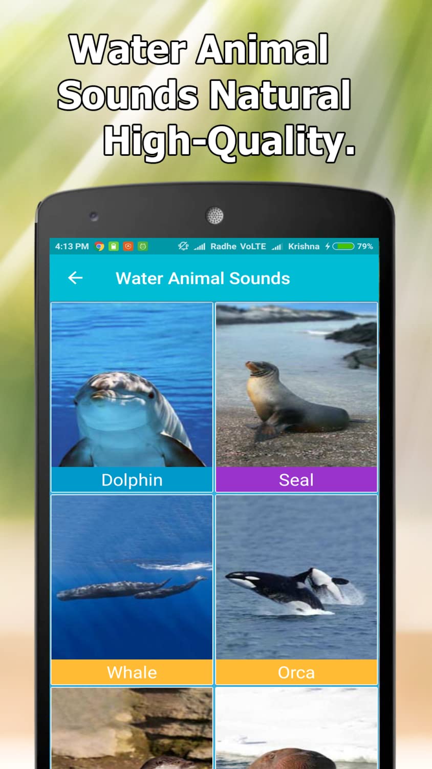 Animal and Bird Sounds Offline