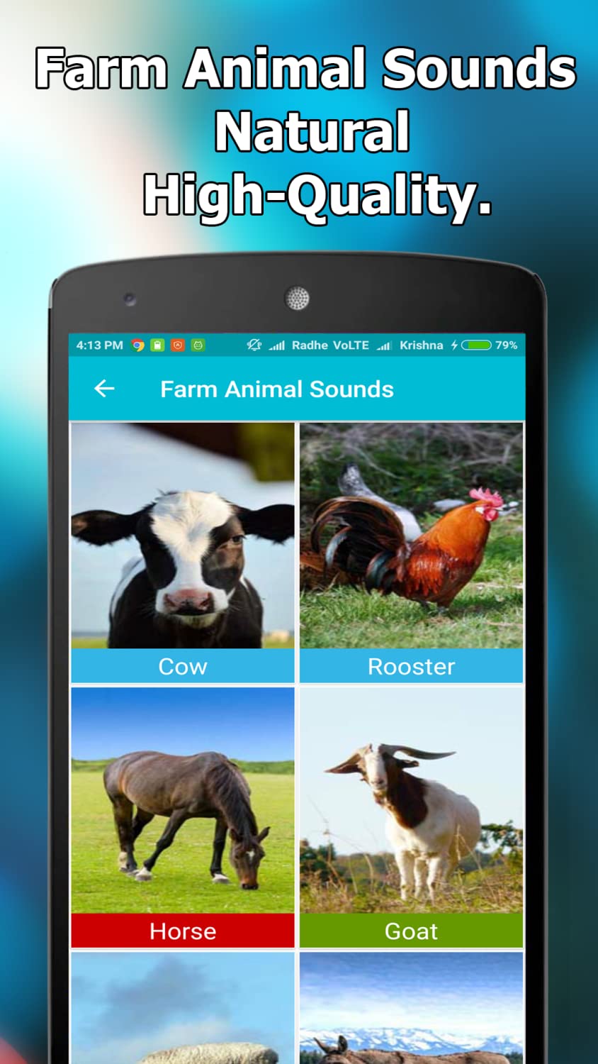 Animal and Bird Sounds Offline