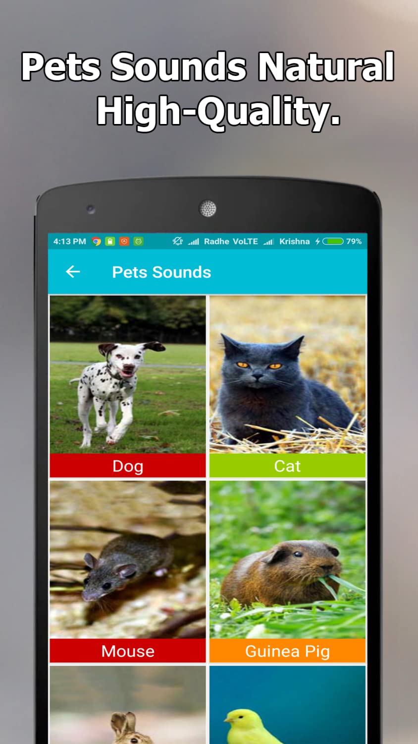 Animal and Bird Sounds Offline
