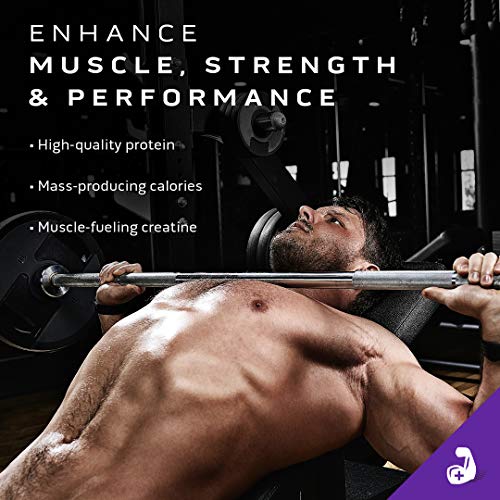 MuscleTech Mass Gainer Protein Powder with Creatine Supplementation