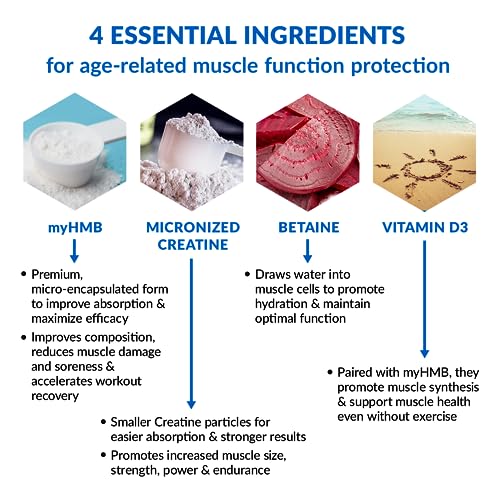 BioTrust Ageless Muscle Builder - Micronized Creatine Powder