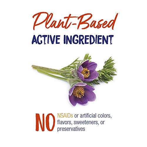 Boiron Pulsatilla 30C Cold Relief - 240 Pellets