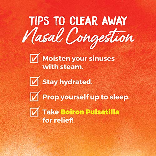 Boiron Pulsatilla 30C Cold Relief - 240 Pellets