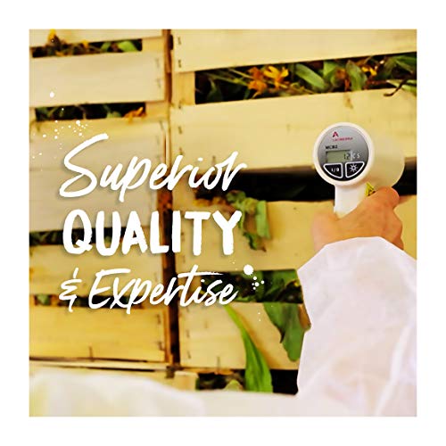 Boiron Sepia 30C for Mood Swings - 80 Pellets